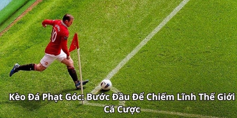 Kèo Phạt Góc – Bí Quyết Cá Cược Bóng Đá Hấp Dẫn Nhất